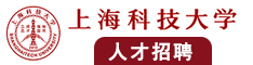 中国日本美国韩国操逼视频